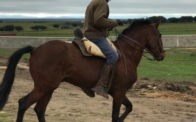 Reportaje de la revista francesa ‘Semana Grande’