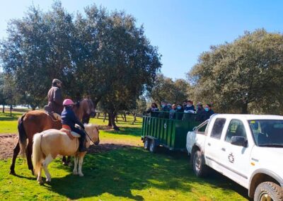 Ganadería Valdefresno