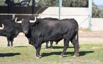 Reportaje de ‘Desdelcallejon.com’