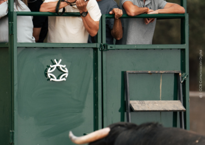 personas visitan la ganaderia valdefresno, van dentro de un remoque en un prado con toros , una persona fotografia un toro